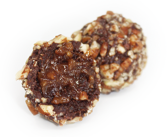 PECAN-DID (pecan turtle)